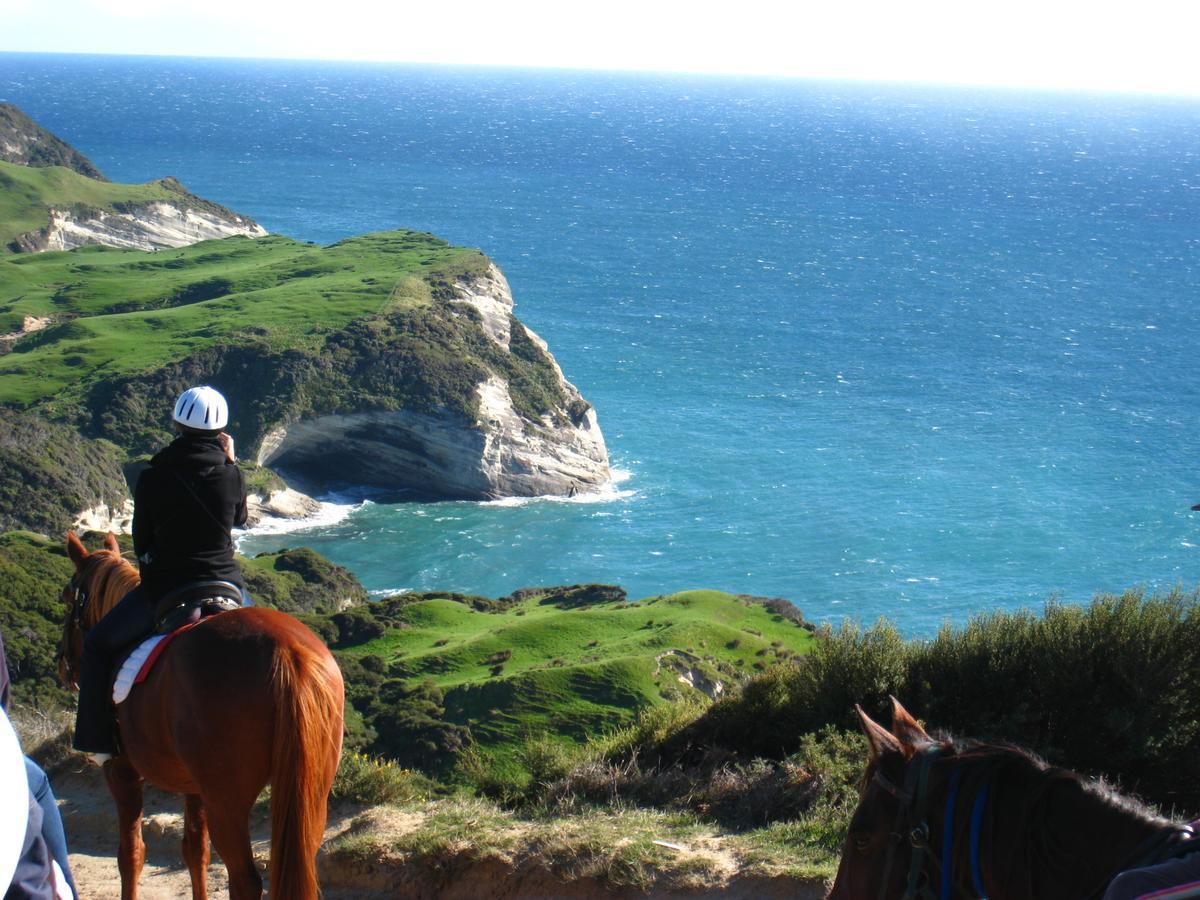 Annies Nirvana Lodge Backpackers Takaka Εξωτερικό φωτογραφία