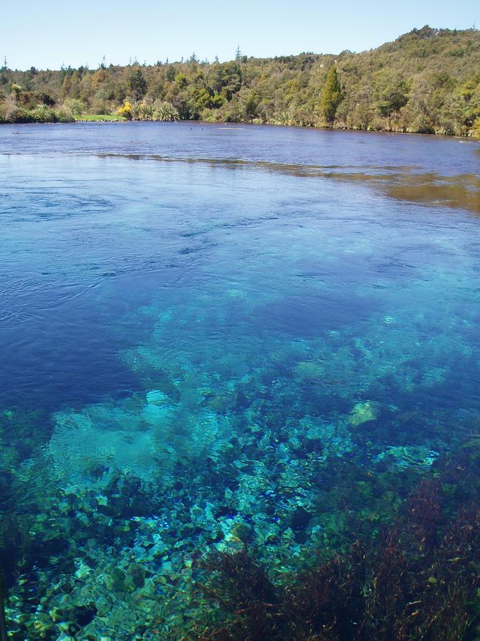 Annies Nirvana Lodge Backpackers Takaka Εξωτερικό φωτογραφία
